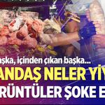 Görüntüler şoke etti!