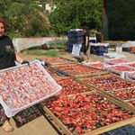 Aydın’dan dünyaya yayılan lezzet: İncir Cipsi