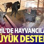 Çivril'de hayvancılara büyük destek!