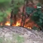 Antalya’da yıldırım yangını! 1 dönüm orman zarar gördü