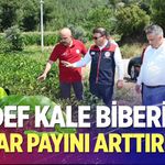 Hedef Kale Biberinin Pazar Payını Arttırmak