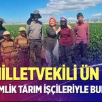 Milletvekili Ün, mevsimlik tarım işçileriyle buluştu