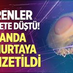 Görenler hayrete düştü! Sahanda yumurtaya benzetildi