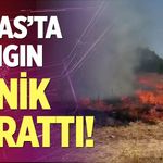 Tavas'ta yangın panik yarattı!
