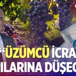 Başkan Gemici’den üzüm isyanı; “Kökten Zarar, İcra Kapılarına Düşeceğiz"