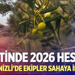 Denizli’de zeytin üretiminin 2026 tablosu sahada belirleniyor