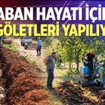 Yaban hayatı için su göletleri yapılıyor