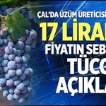 Çal’da üzüm üreticisi isyanda: 17 Liralık fiyatın sebebini tüccar açıkladı