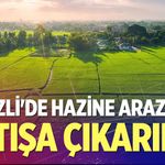 Denizli'de hazine arazileri satışa çıkarıldı