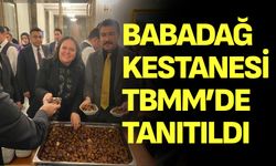 Babadağ Kestanesi TBMM’de Tanıtıldı