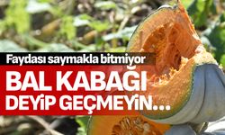 Bal kabağı deyip geçmeyin...Faydası saymakla bitmiyor