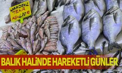 Balık hali hareketli günler geçiriyor