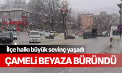 Çameli beyaza büründü