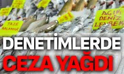 Denizli'de denetimlerde ceza yağdı