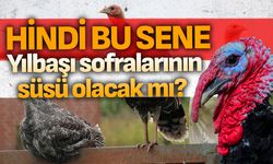 Hindi bu sene yılbaşı sofralarını süsleyecek mi?