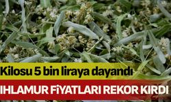 Ihlamur Fiyatları Rekor Kırdı: Kilosu 5 Bin Liraya Dayandı