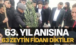 63. yıl anısına 63 zeytin fidanı diktiler