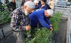 Alzheimer hastalarının umut evi: “Mavi Ev”