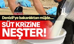 Bakanlık Denizli’deki süt krizine neşter vurdu