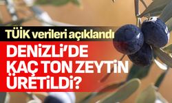 En çok zeytin üreten şehirler açıklandı