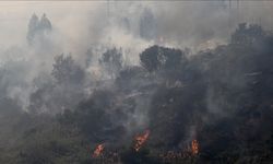 Şili'nin Araucania bölgesindeki orman yangını nedeniyle 2 bin kişi tahliye edildi
