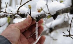 Zirai don tehlikesine dikkat!