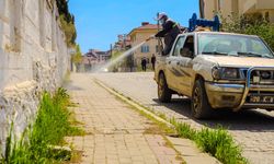 Kale’de yabani ot ve ilaçlama çalışması sürüyor