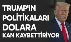 Trump'ın politikaları dolara kan kaybettiriyor
