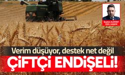 Çiftçi Endişeli: Verim düşüyor, destek net değil