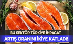 Bu sektör Türkiye ihracat artış oranını ikiye katladı!