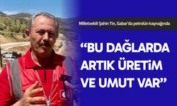 Milletvekili Tin: Bu dağlarda artık üretim ve umut var