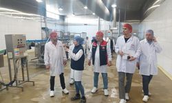 Yem üretim tesislerine detaylı denetim