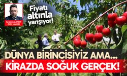Kirazda soğuk gerçek! Üretimde dünya lideriyiz ama…