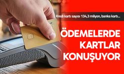 Kartlı ödemeler mayısta 1,99 trilyon lira oldu