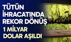 Tütün ve tütün mamulleri ihracatı 7 yıl sonra 1 milyar doları aştı