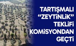 Tartışmalı “zeytinlik” teklifi komisyondan geçti