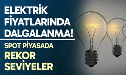 Elektrik Fiyatlarında Dalgalanma: Spot Piyasada Rekor Seviyeler
