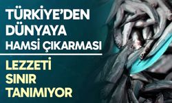 Türkiye’den dünyaya hamsi çıkarması! Lezzeti sınır tanımıyor