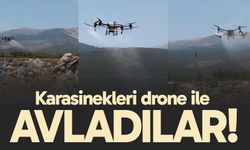 Karasinekleri drone ile avladılar!