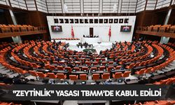 "Zeytinlik" yasası TBMM’de kabul edildi
