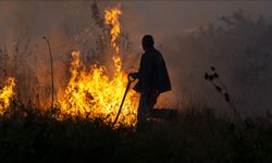 Bulgaristan'ın güneyinde çıkan yangınla mücadele sürüyor