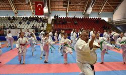 Emniyet amiri tatamiye çıktı