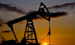 Hindistan'ın, Rusya'dan petrol alımını sürdüreceği iddiası