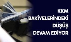 KKM bakiyelerindeki düşüş devam ediyor