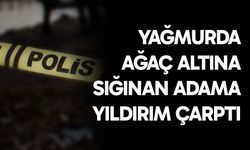 Ağaç altına sığınan adama yıldırım çarptı