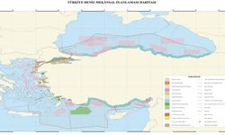 Türkiye'nin yeni "Deniz Koruma Alanları" ulusal Deniz Planlama Haritasına eklendi