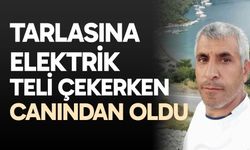 Tarlasına elektrik teli çekerken canından oldu