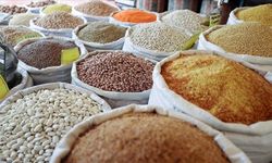 İhracatı 10 ayda 2,9 milyar dolara ulaştı