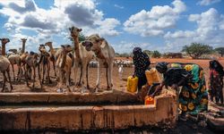 Aşırı hava olayları son 10 yılda 250 milyon kişiyi yerinden etti