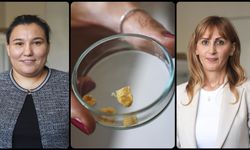 Balık kılçığı yüksek kaliteli kolajene dönüştürüldü